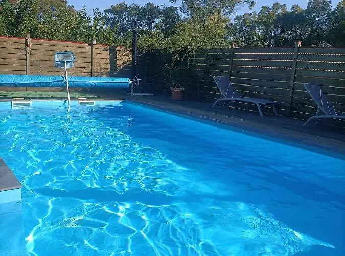 Chrysalide *
